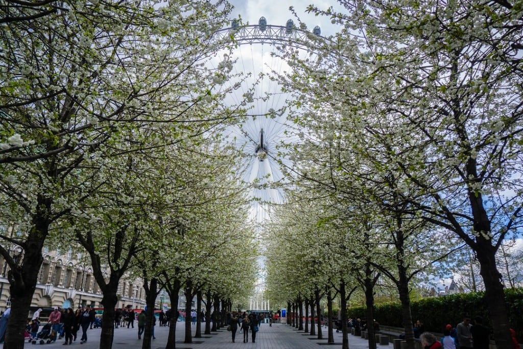 Must see Places in London Eye