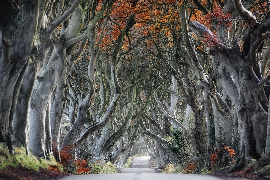how much does it cost to go to Ireland Game of Thrones