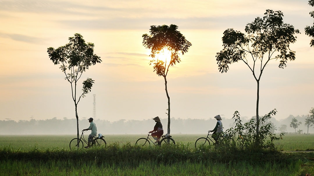 How Much Does It Cost to Go to Southeast Asia Thailand