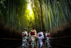 how-much-does-it-cost-to-go-to-Kyoto-bamboo