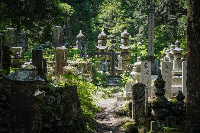 Koyasan Japan Guide | How to get to Mount Koya - Money We Have