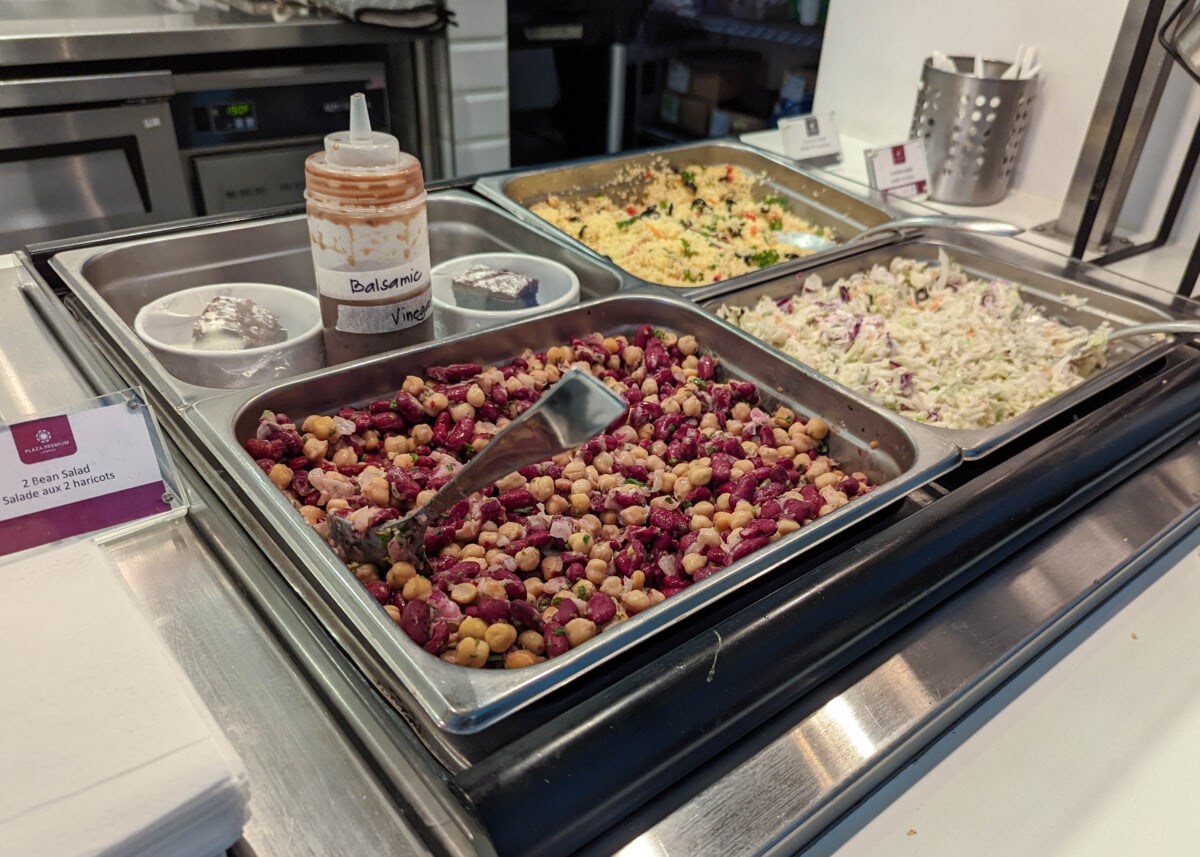 Emirates Toronto to Dubai review plaza 4