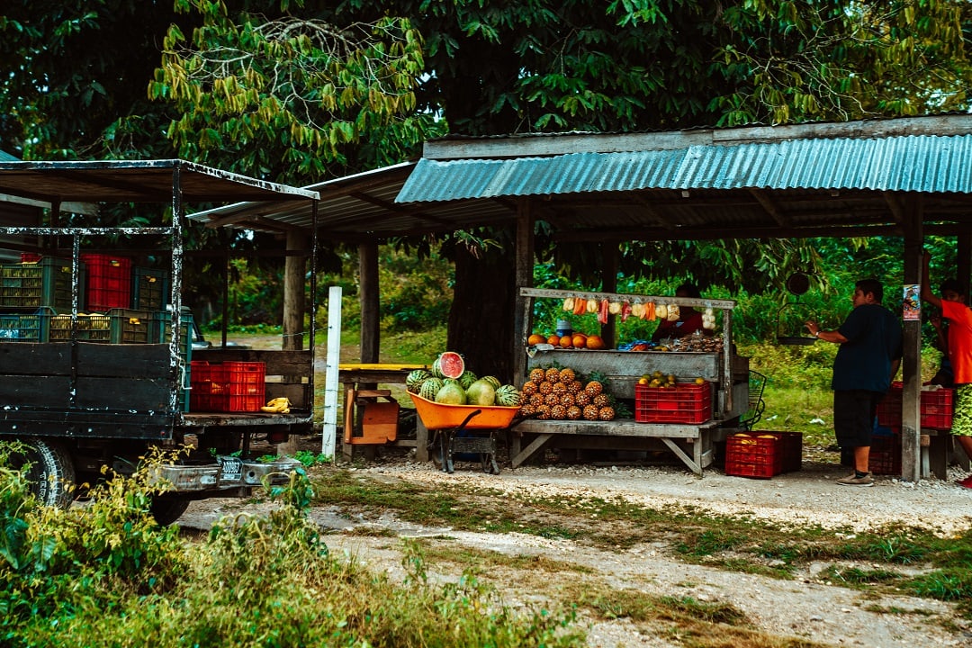 Belize trip cost food